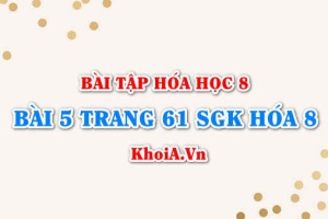 Bài 5 trang 61 SGK Hóa 8: Phản ứng hóa học, phương trình hóa học, định luật bảo toàn khối lượng
